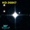 HD  36847