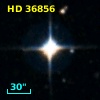 HD  36856