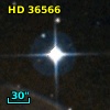 HD  36566