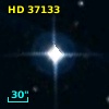 HD  37133