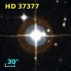 HD  37377