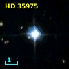 HD  35975