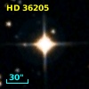 HD  36205