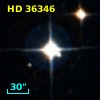 HD  36346