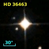 HD  36463