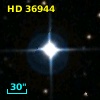 HD  36944