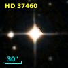 HD  37460