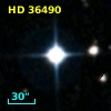 HD  36490