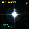 HD  36647