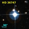 HD  36747
