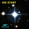 HD  37497
