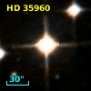 HD  35960