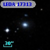 LEDA   17313