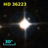 HD  36223
