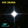HD  36464