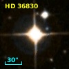 HD  36830