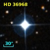 HD  36968