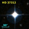 HD  37312