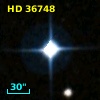 HD  36748