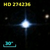 HD 274236