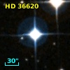 HD  36620