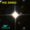 HD  36902