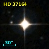 HD  37164