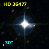 HD  36477