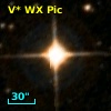 V* WX Pic
