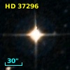 HD  37296
