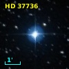 HD  37736