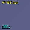 V* WZ Aur