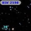 NSV  2590