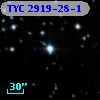 TYC 2919-28-1