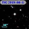 TYC 2919-80-1