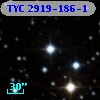 TYC 2919-186-1