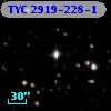 TYC 2919-228-1
