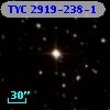 TYC 2919-238-1