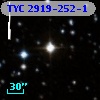 TYC 2919-252-1