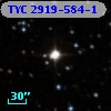 TYC 2919-584-1