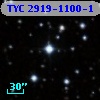 TYC 2919-1100-1