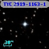 TYC 2919-1163-1