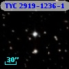 TYC 2919-1236-1