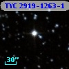 TYC 2919-1263-1