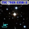 TYC 2919-1350-1