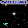 TYC 2919-1426-1