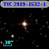 TYC 2919-1532-1