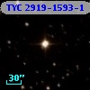 TYC 2919-1593-1