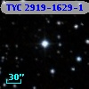 TYC 2919-1629-1