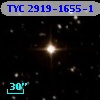 TYC 2919-1655-1